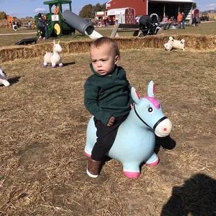 I think he's having fun...