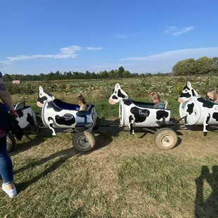 Cow train/ hay ride