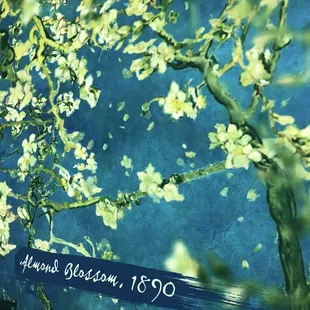 A picture in the show