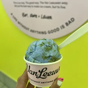 Vegan planet earth