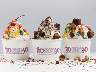 FroZenYo