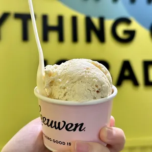 Malted Milkshake &amp; Fries (One Scoop)