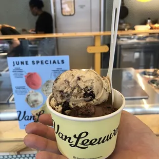 Brown Sugar Chunk &amp; Chocolate Fudge Brownie. Very small two scoops