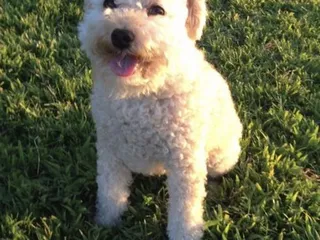 Del Campo Park