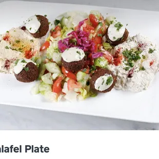 Falafel Plate