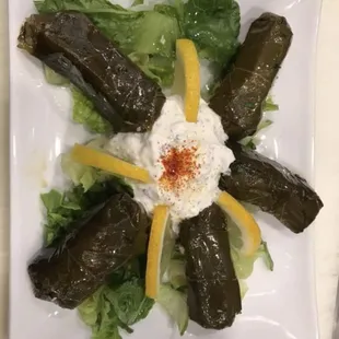 Dolma