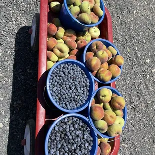 White peaches are the donut looking fruit, yellow peaches are the rounder ones, and buckets of blueberries