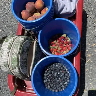 Yellow peaches, strawberries ( they were really tiny), blueberries