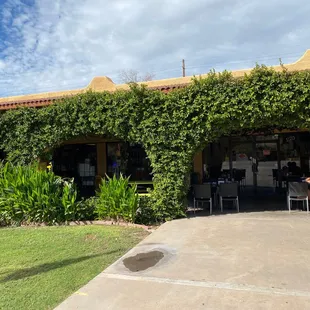 Vine covered patio