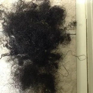 The hair I lost after washing my hair after one visit to Vanessa's not to include what went down the shower drain PLEASE SAVE YOURSELF