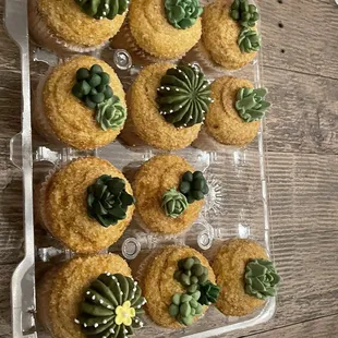 Succulent cupcakes