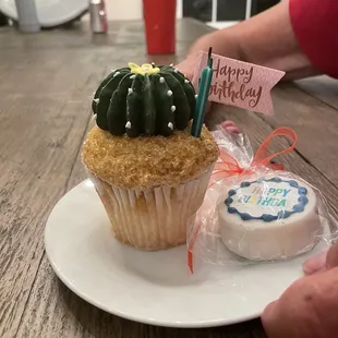 a cupcake with a cactus on top
