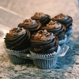 German Chocolate Cupcakes