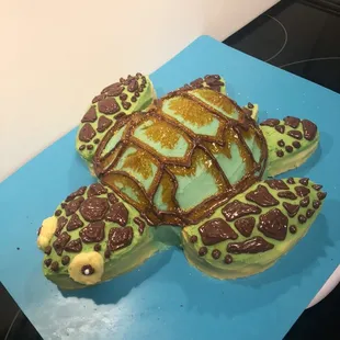 One of my first cakes (Peppermint Turtle)