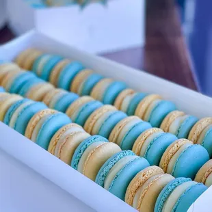 A box of macaron