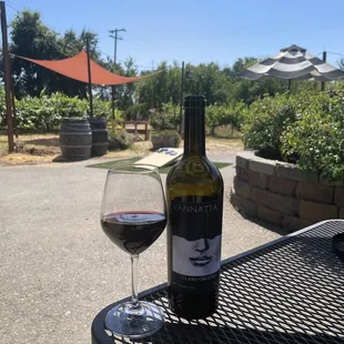 Vanetta, Winery, Sheldon, California, June 25, 2023 - Corn Hole