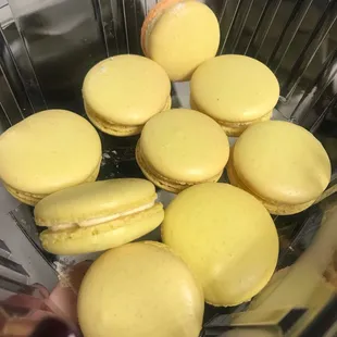 Durian flavor. Out of the few flavors we got, we all agreed this was our fave. Van separated these so that it won&apos;t stink up the others lol