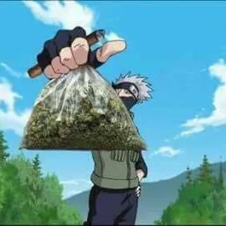 Kakashi V.