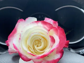 King's Gardens Garden Center