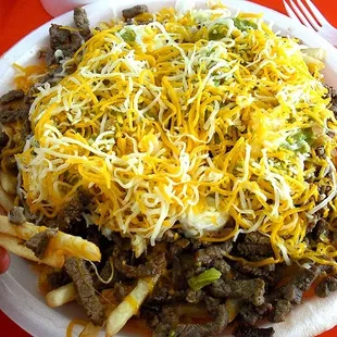 Humongous serving of Carne Asada Fries!