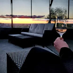 a person holding a glass of wine