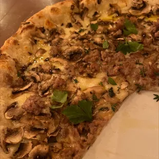 Fontina Mushroom Pizza