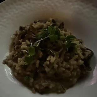 Foraged Mushroom Risotto