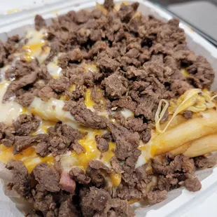 Carnes asada cheese fries!