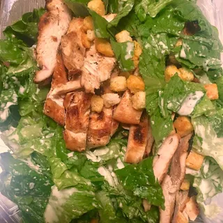 Chicken Caesar Salad