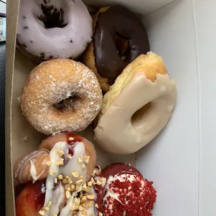 The Larry, maple, chocolate, red velvet, funnel cake and blueberry opal