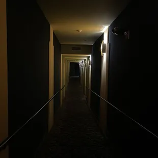 Come plaaaaaay with usssssss