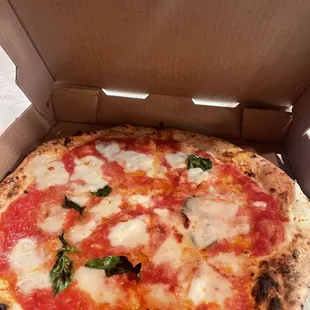 Margherita Pizza