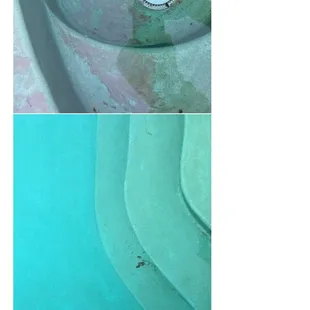Two baby rats in pool for over a week.  No cleaning of steps or bottom of pool.  This is a every week occurrence of not cleaning properly.