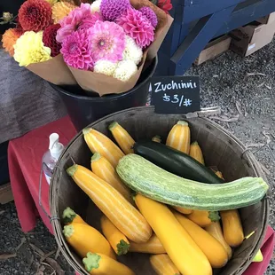 yellow zucchini and zucchini