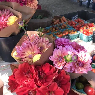 a variety of flowers