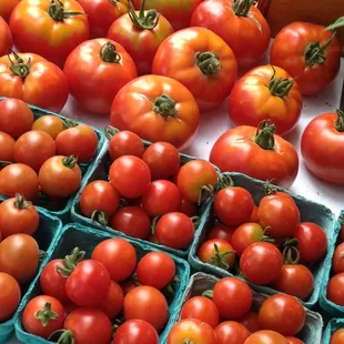 Vashon Island Farmers Market.