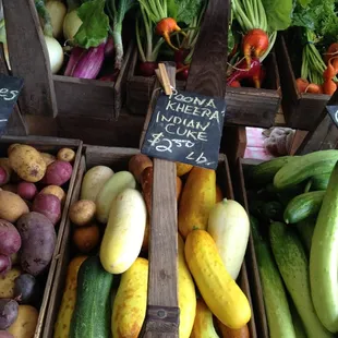 Greenman Farm Produce.  Vashon Island Saturday Market.