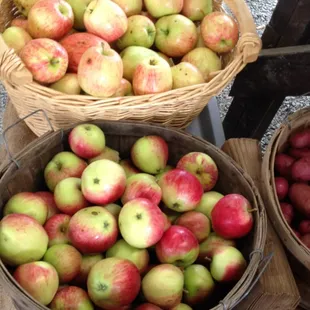 Vashon Island, Farmers Market.