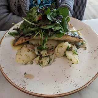 GRILLED BRANZINO