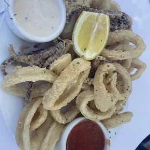 Fried Calamari