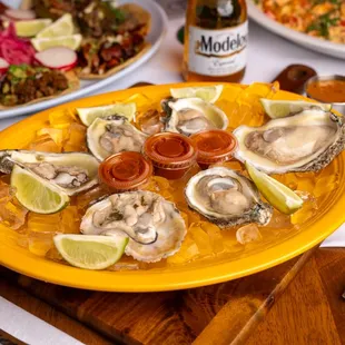 fresh oysters