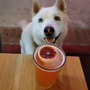 @the_nanookie loves the Vault Bar &amp; Grill!