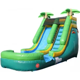 Palm Tree 15' water slide wet or dry