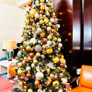 Beautiful Xmas Tree 2024
