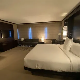 Vdara (Las Vegas): ADA Accessible- king sized bed and pullout bed