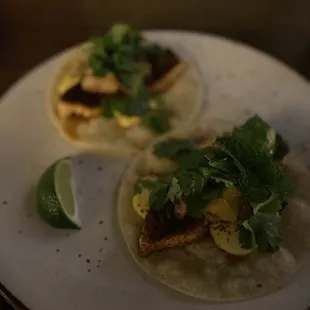 Faroe island salmon tacos ($20)