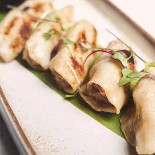 Homemade pan-fried pork dumplings