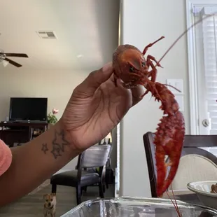 a person holding a lobster