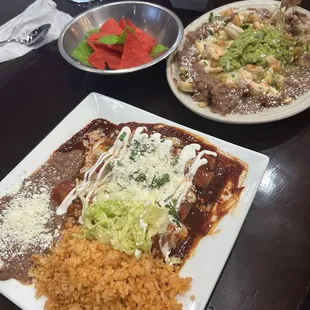 Shrimp enchiladas
