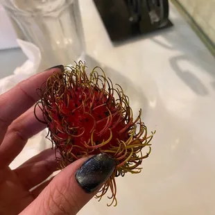 Fresh Rambutan